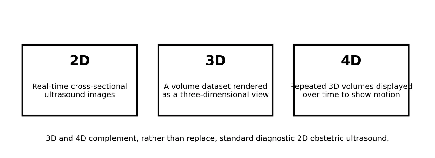 Educational schematic of 2D, 3D, and 4D ultrasound concepts. Educational illustration; not a diagnostic ultrasound image.