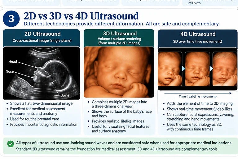 Educational infographic comparing 2D, 3D and 4D ultrasound side by side. Educational illustration; not a diagnostic ultrasound image.